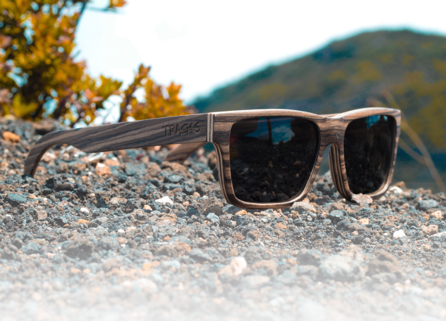 Essentials Collection